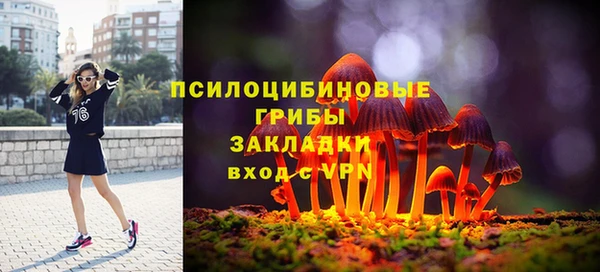 не бодяженный Нефтегорск